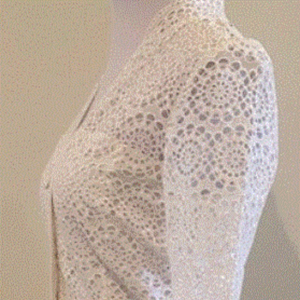 Sandro Miranda White Lace Button Up Dress